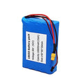36V 10Ah Lithium Ebike Battery with Charger and BMS T977