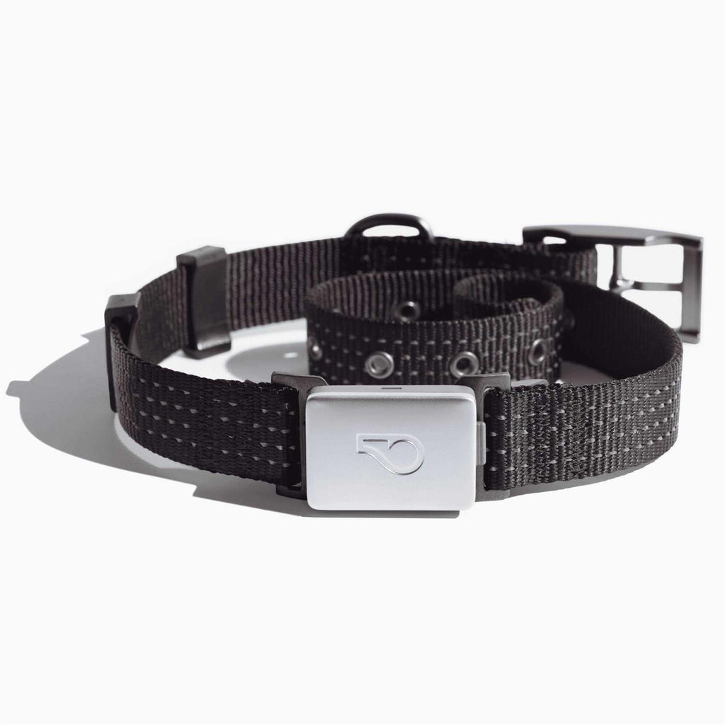 Smart Collar Kit Z5607