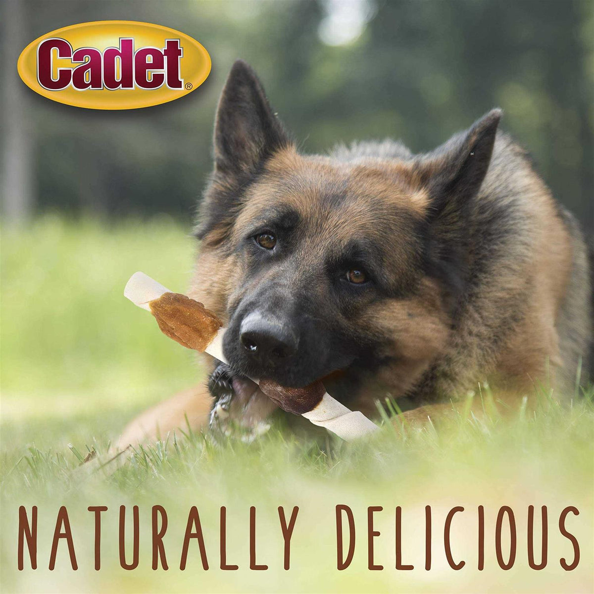 Rawhide Dog Treats C2729