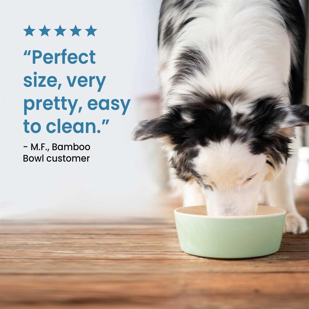 Bamboo Bowl D67643