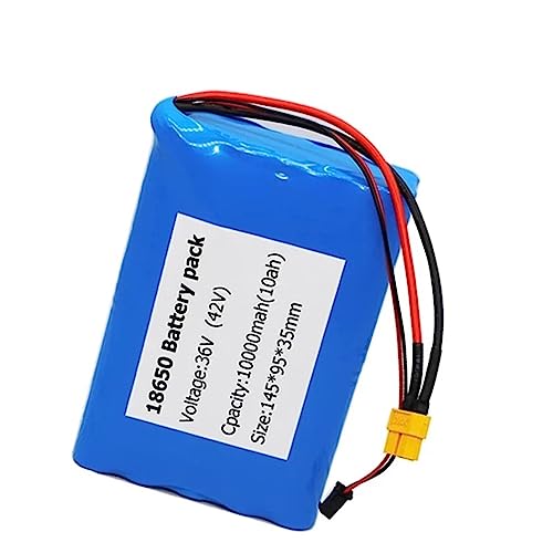 36V 10Ah Lithium Ebike Battery with Charger and BMS T977