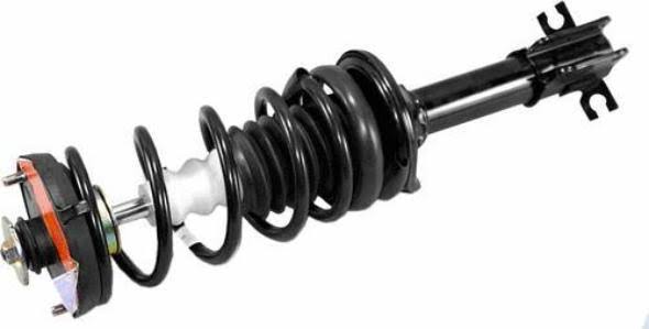 Suspension Strut and Coil Spring Assembly C419