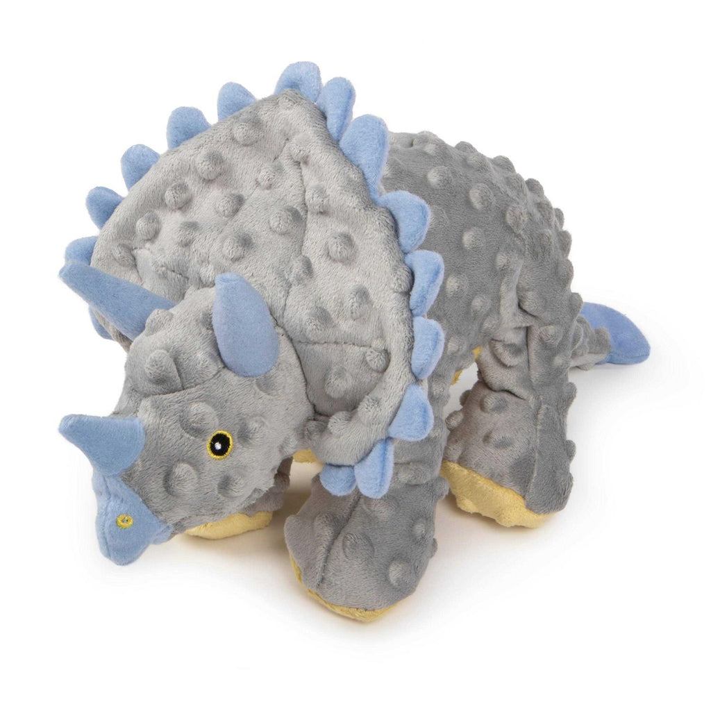 Dog Toy R5864