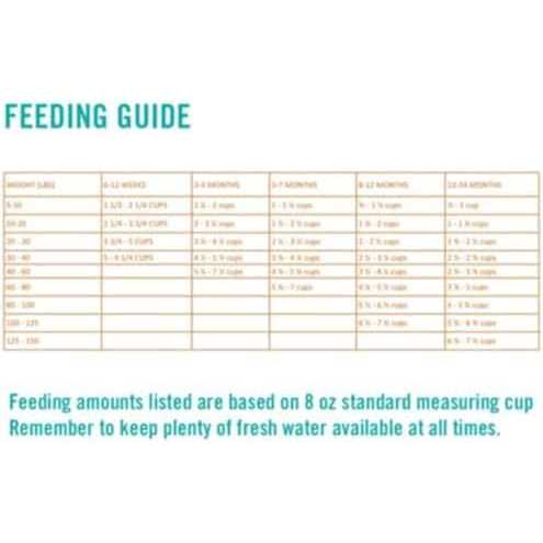 Adult Dry Dog Food T400045
