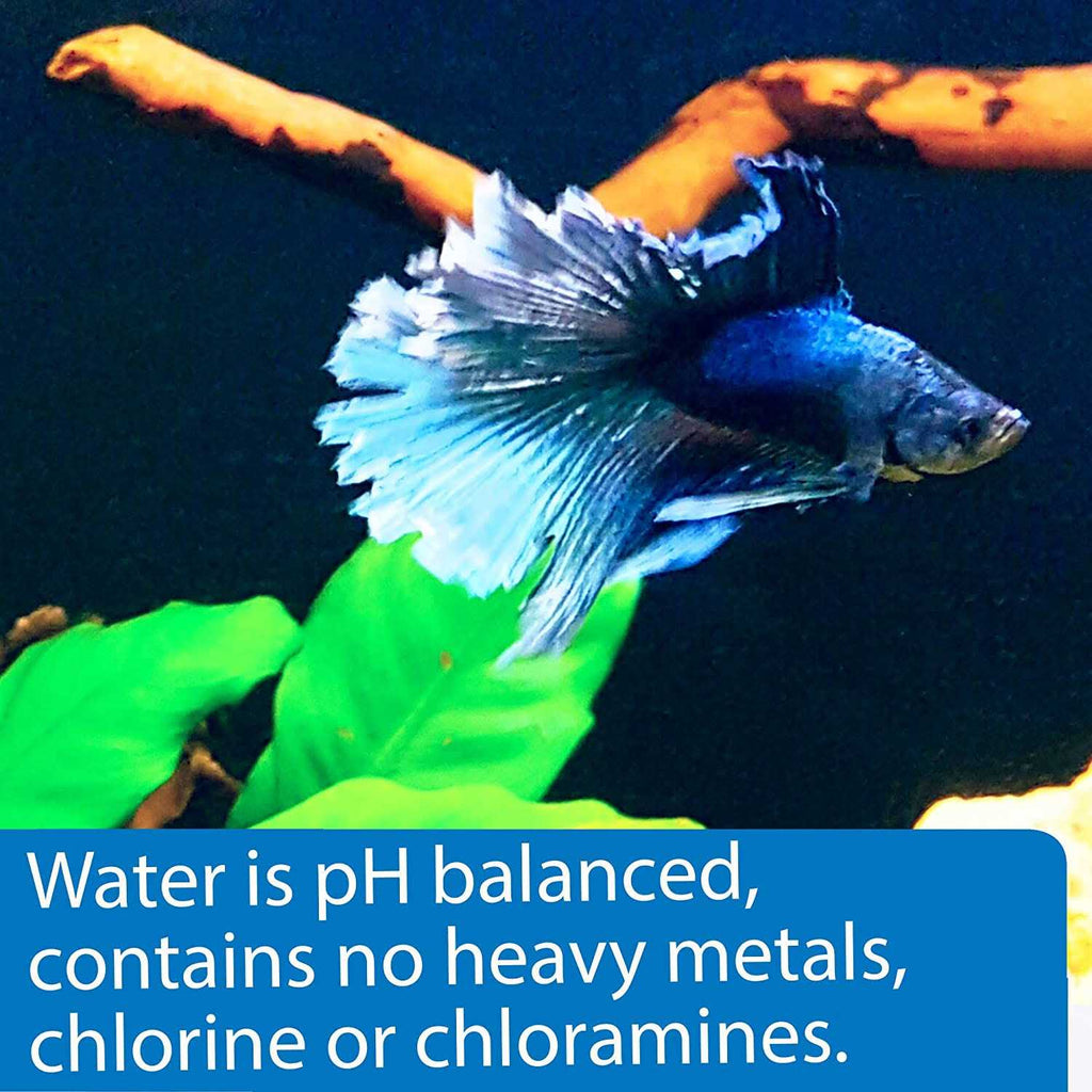 Betta Water B185471