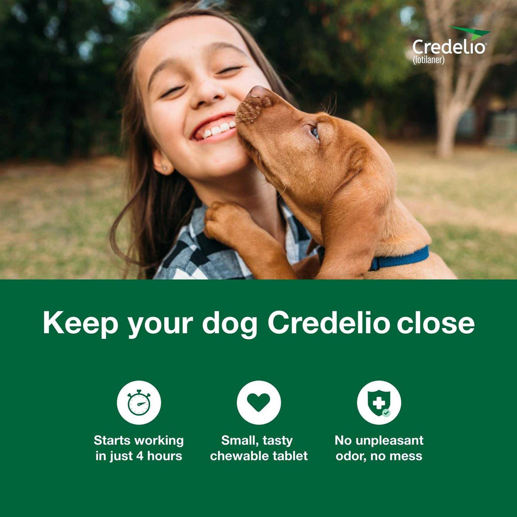 Chewable Tablet for Dogs S642
