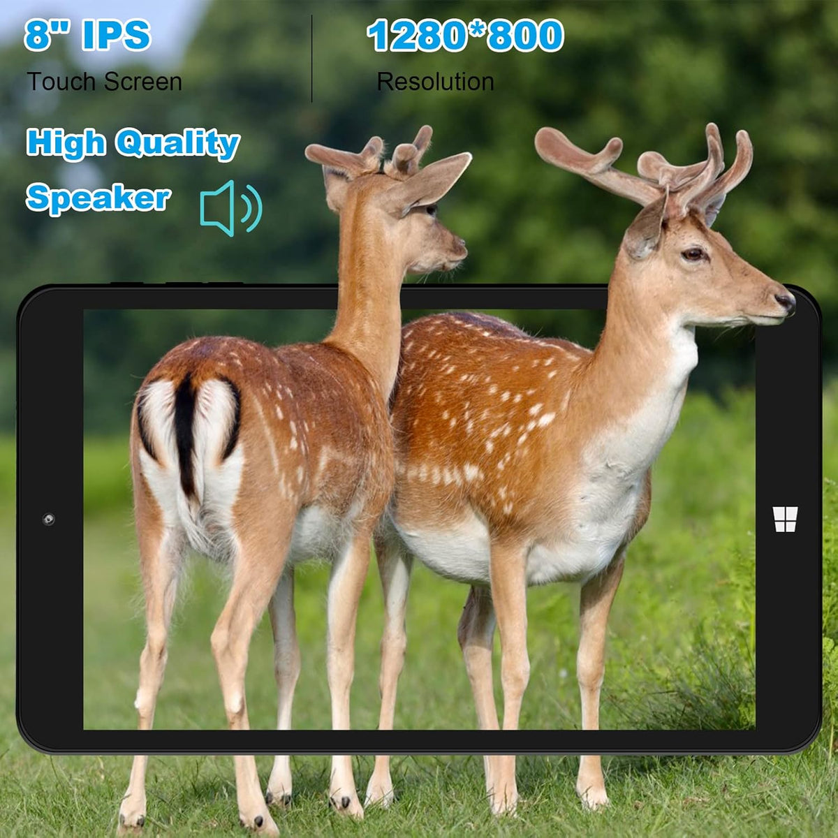 8 Windows Tablet W67887