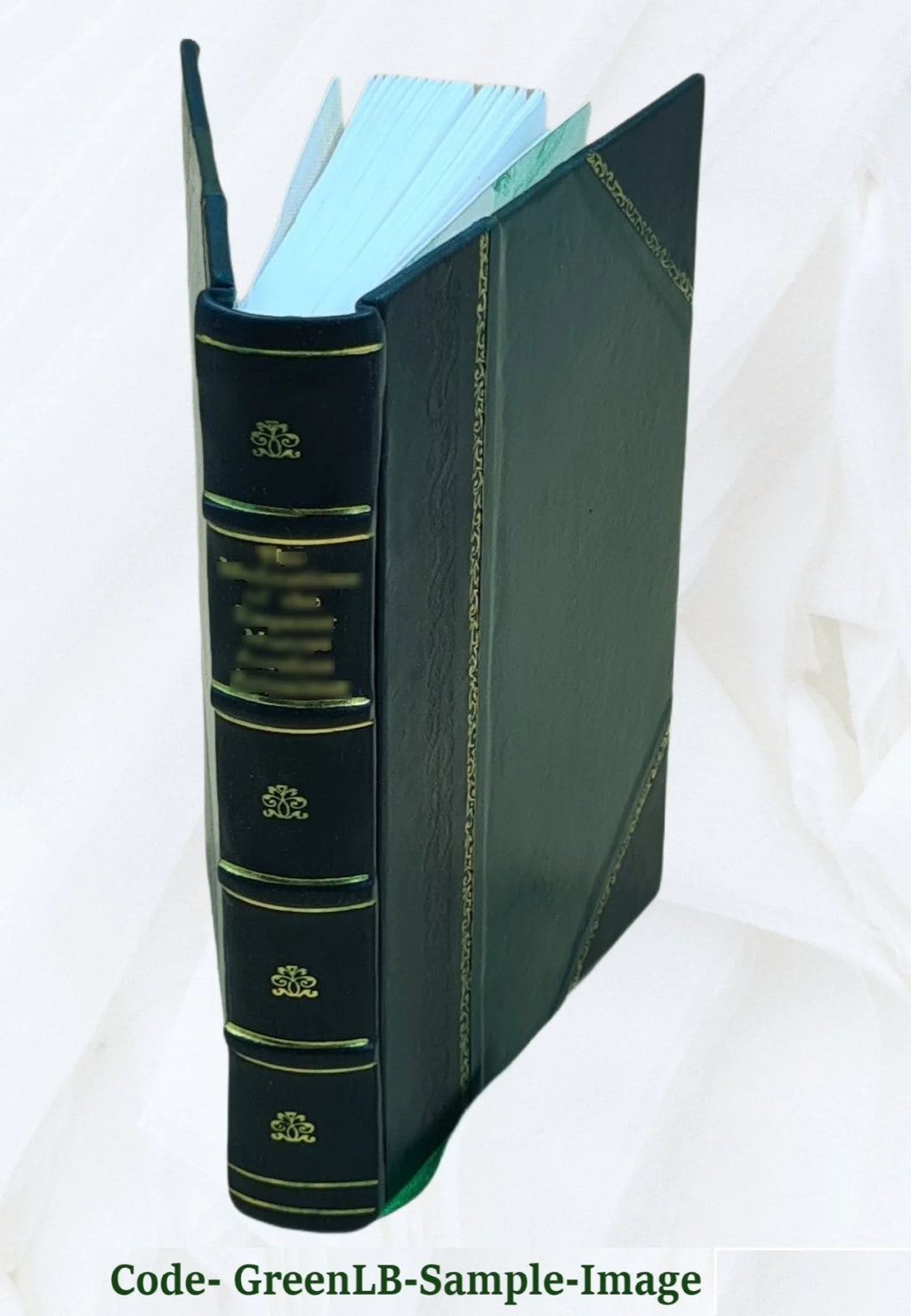 Leather Bound Book A37365