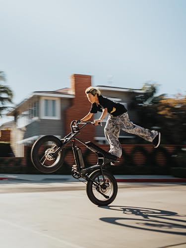 750W Electric Bike 20"x4" Fat Tires C13960