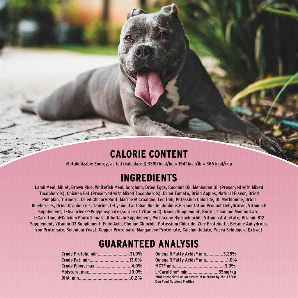 Sensitive Skin & Stomach Dry Dog Food D6709