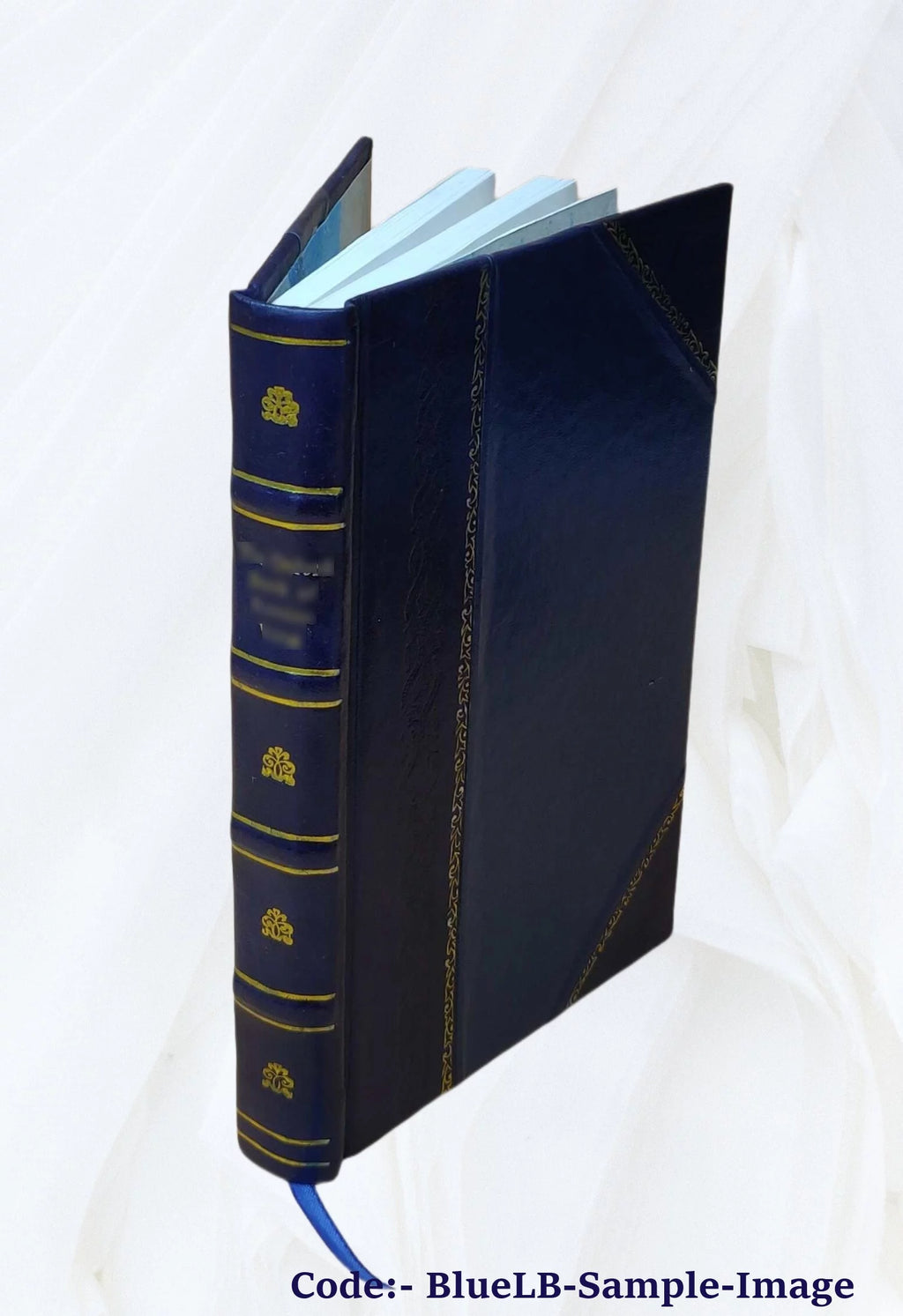 Antiquarian Architecture Specimens O2423