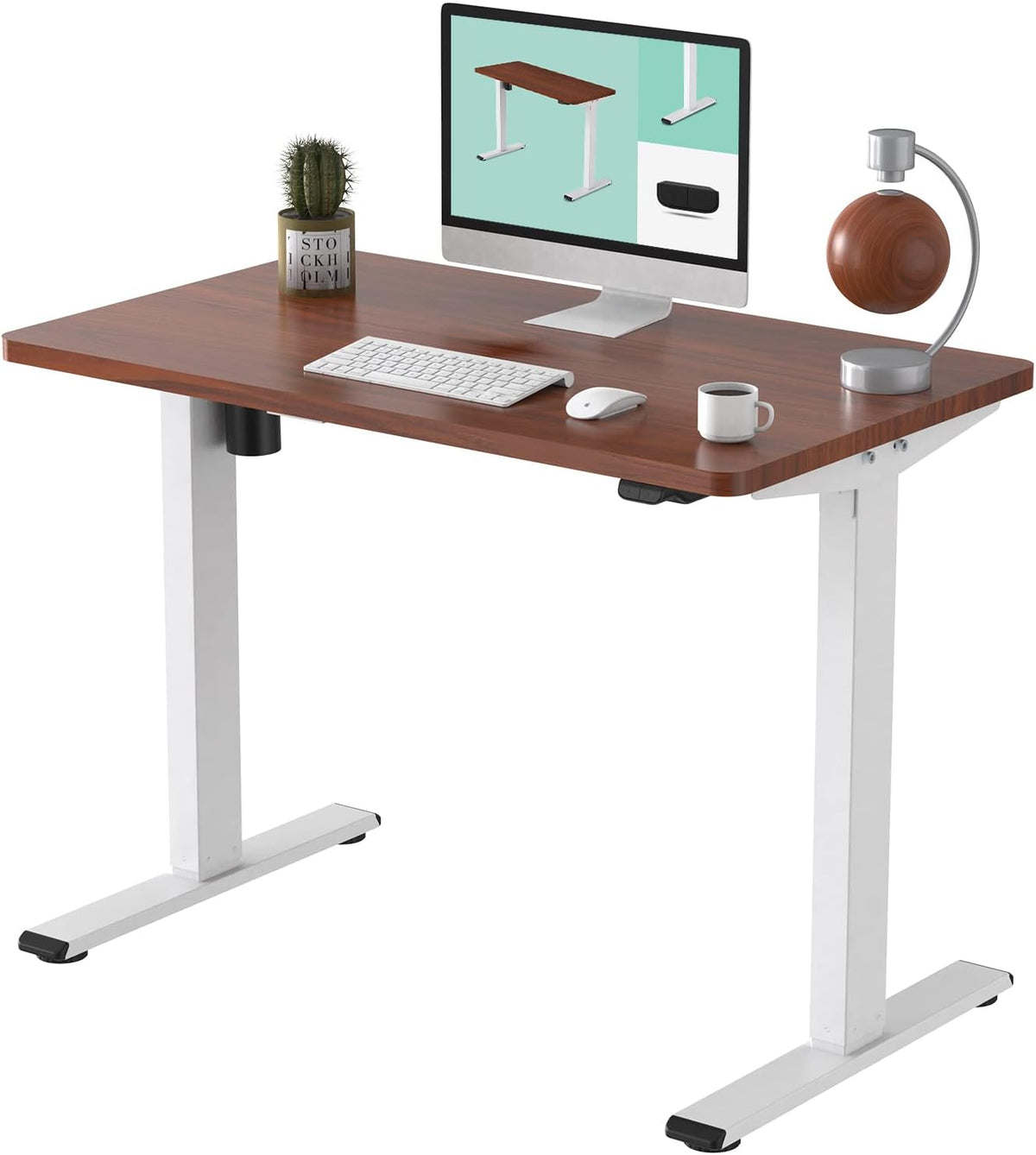 48 x 24 Inches Electric Height Adjustable Standing Desk W4150