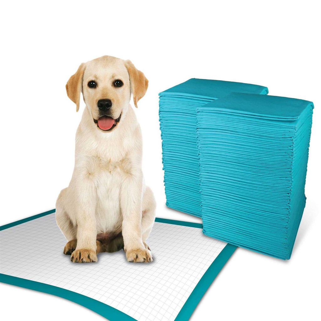 Extra Large Training Pads Y23305