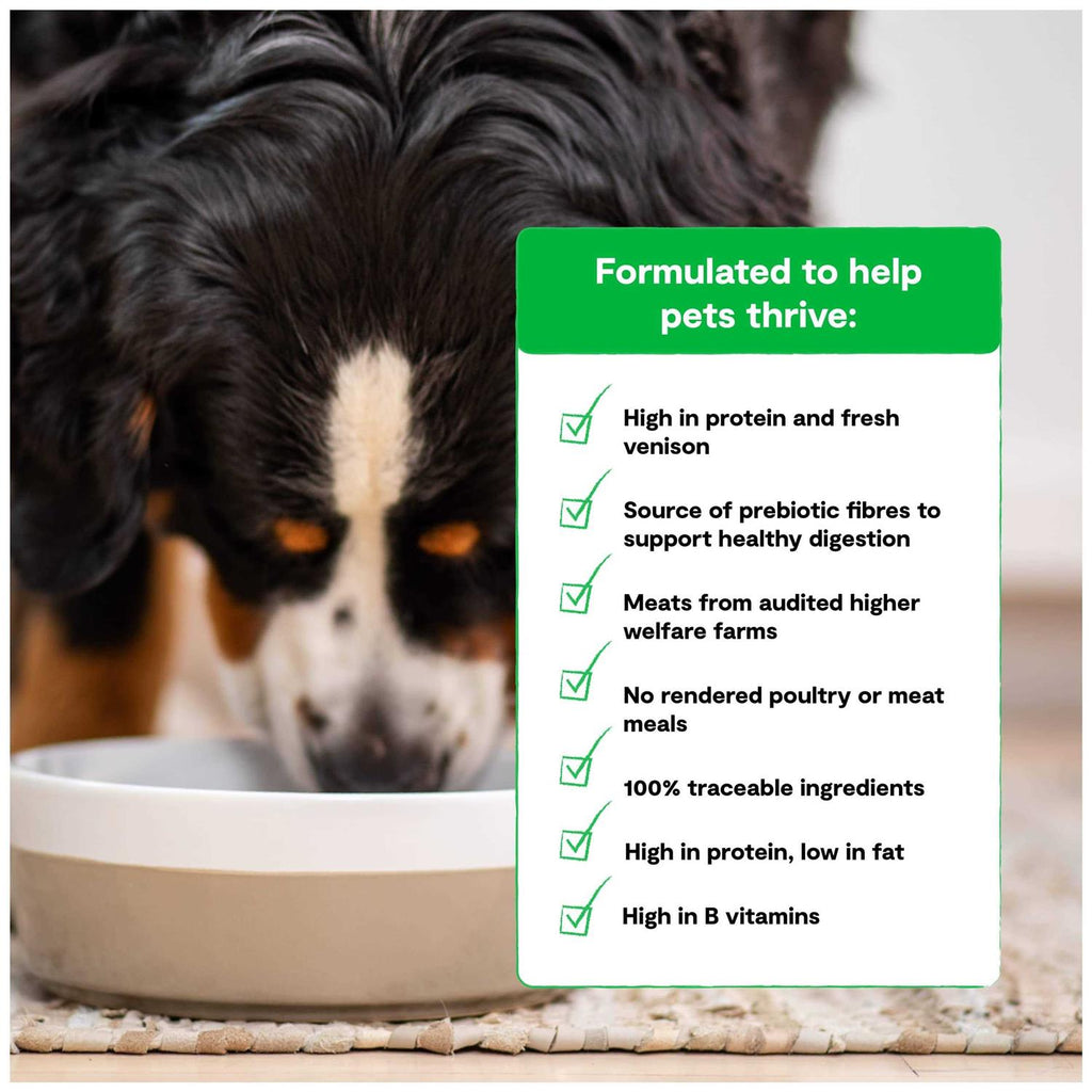 Grain Free Dry Dog Food G424481