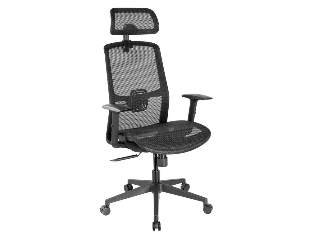 Ergonomic Office Chair with Mesh Seat X91850