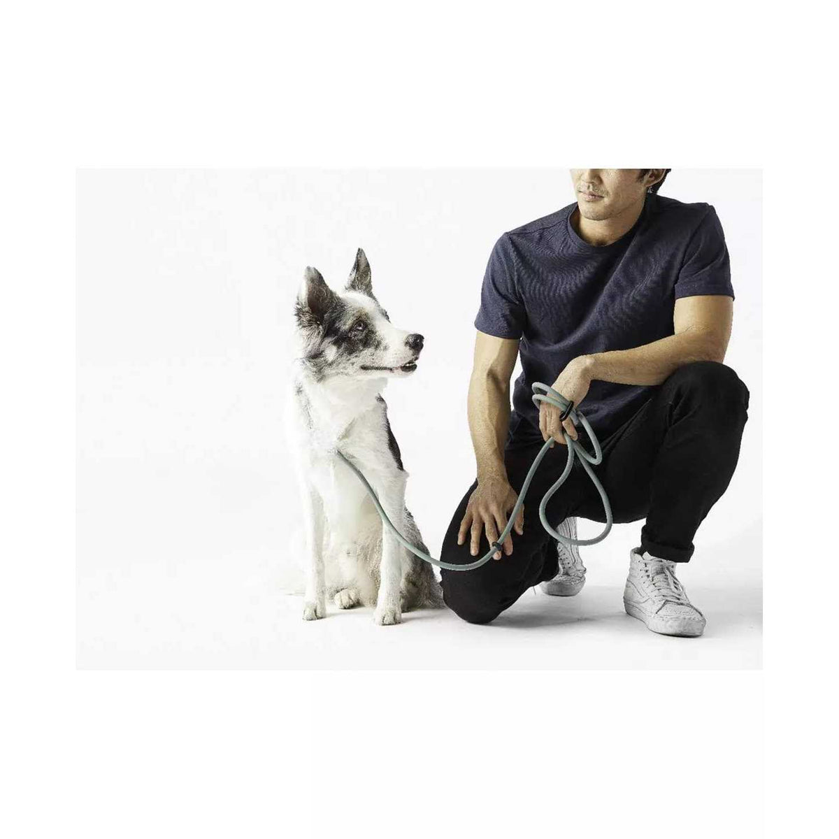 Hands-Free Dog Leash F548145