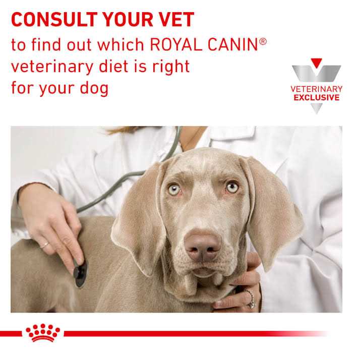 Veterinary Diet Canine Dental Adult Small Dog Dry Food R542997