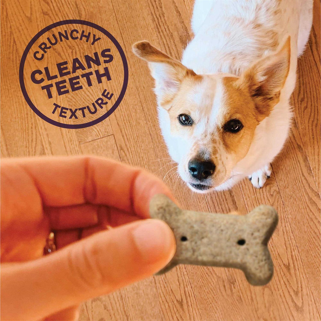 Dog Biscuits X41401