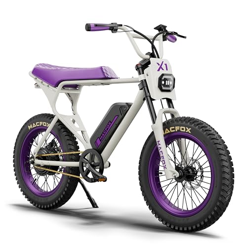 750W Electric Bike 20"x4" Fat Tires C13960