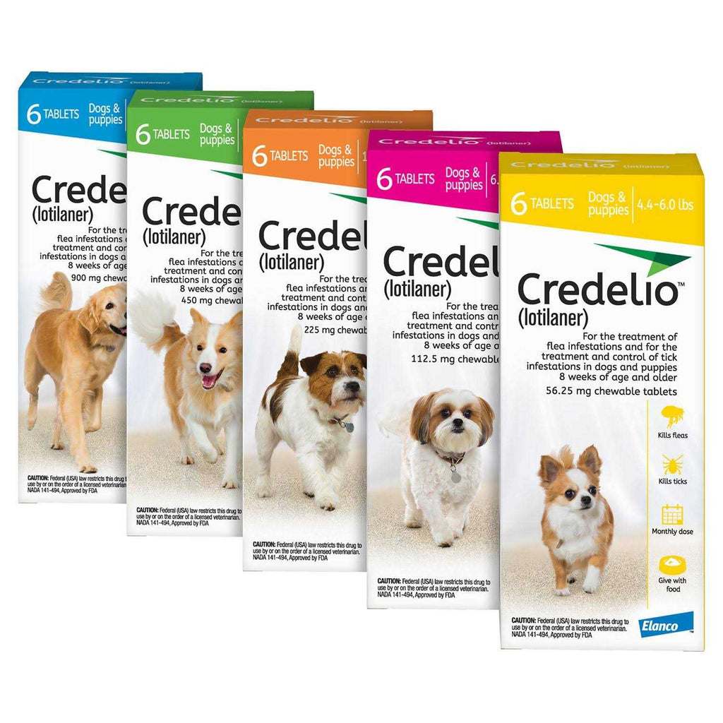 Chewable Tablet for Dogs S642