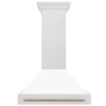 36 Inch Stainless Steel Range Hood with White Matte Shell T816426