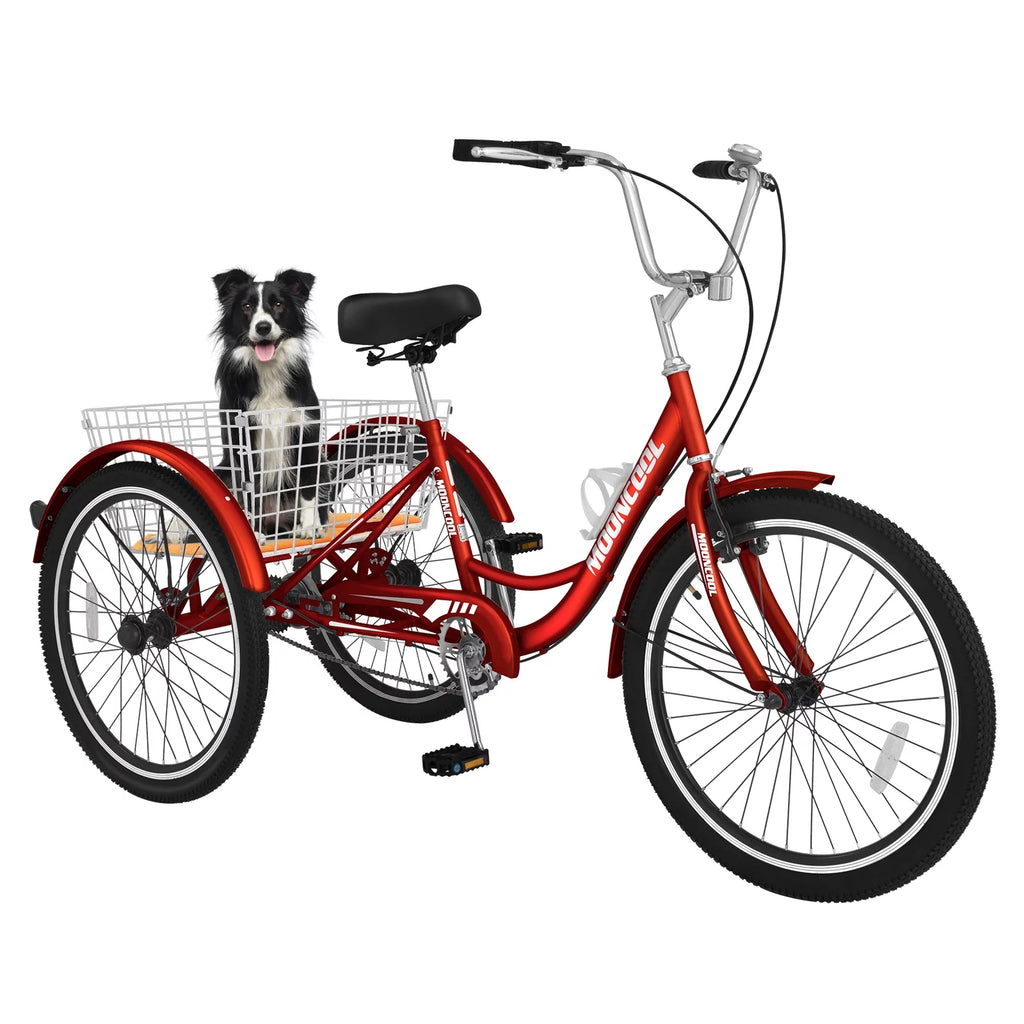 24 Single Speed Tricycle with Large Basket I446057