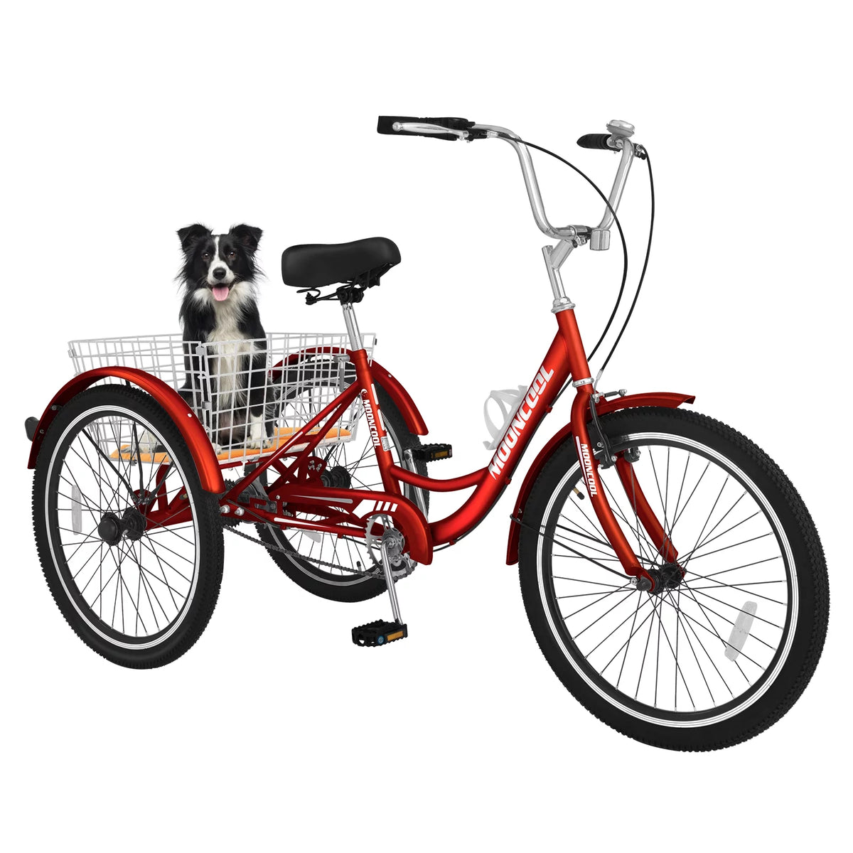 24 Single Speed Tricycle with Large Basket I446057
