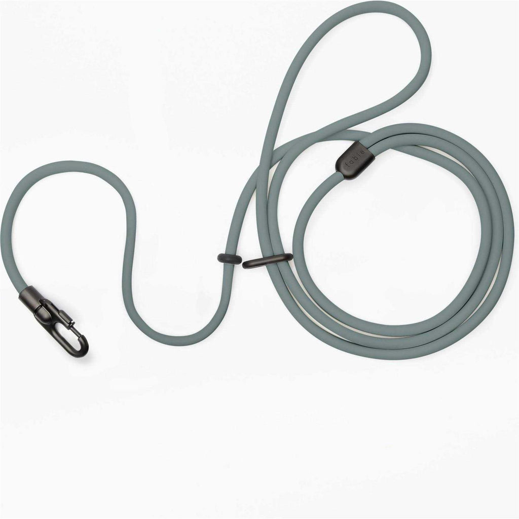 Hands-Free Dog Leash F548145