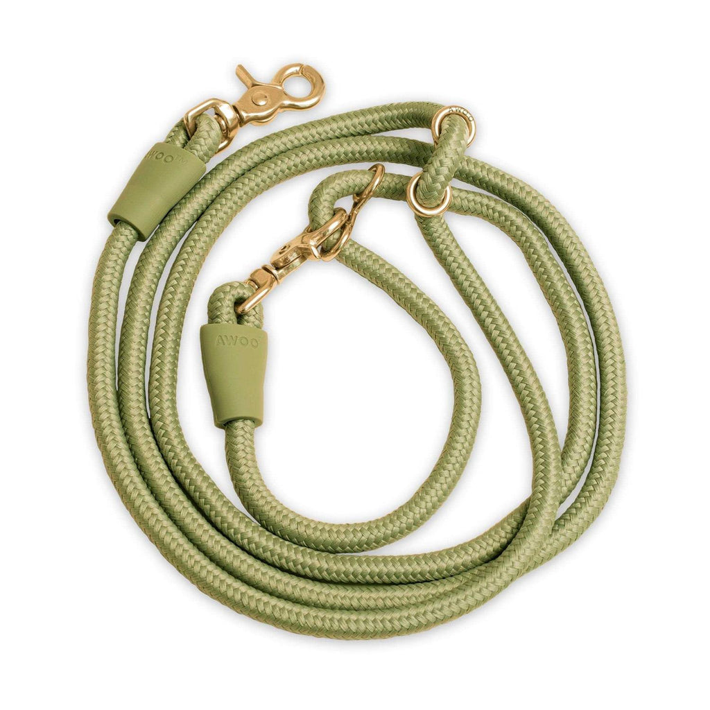Pet Leash M967