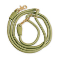 Pet Leash M967