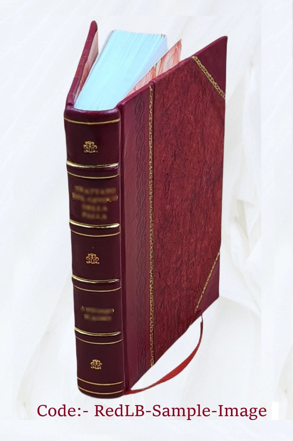 Antiquarian Architecture Specimens O2423