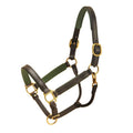 Padded Halter with Brass Hardware U10619