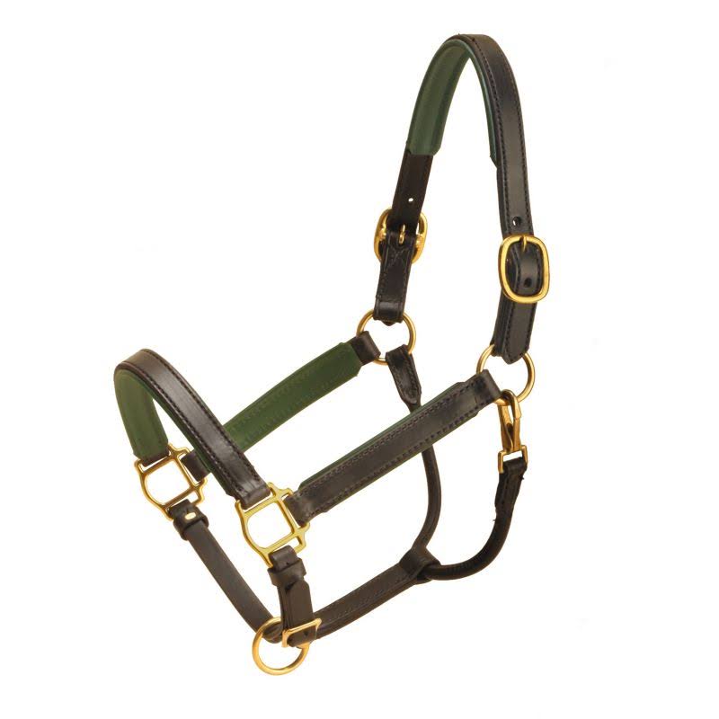 Padded Halter with Brass Hardware U10619