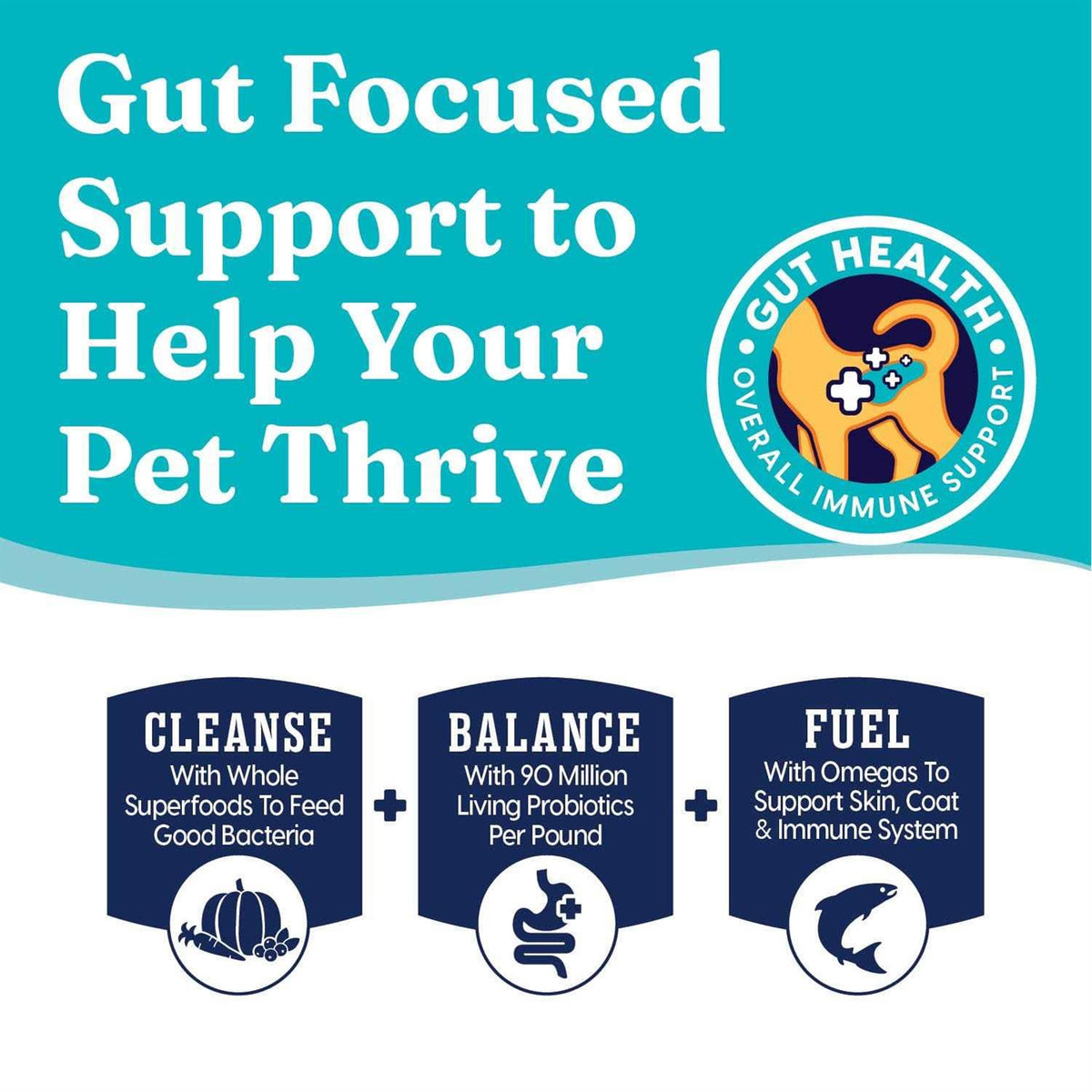 Dry Dog Food Lamb S762