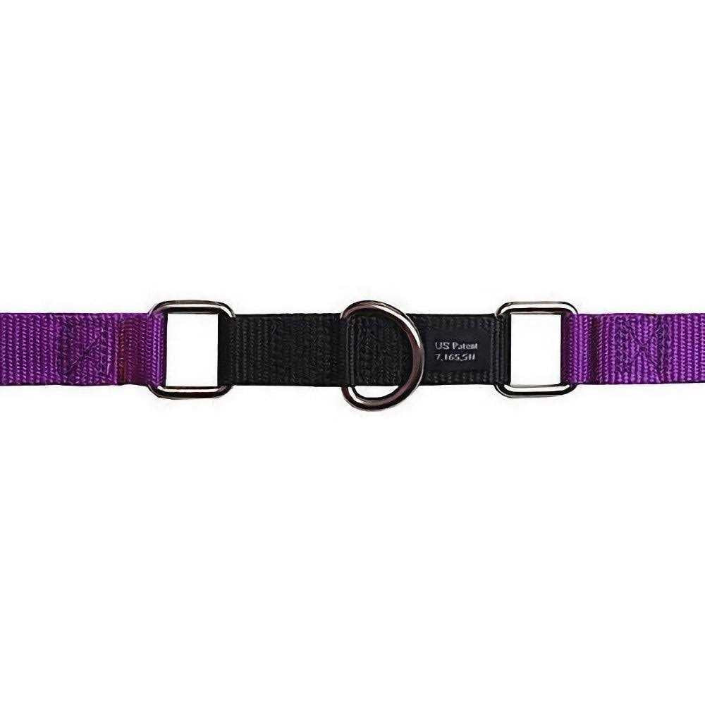 No Pull Dog Harness Leash E503