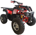 200cc Gas ATV with Automatic Transmission V935129