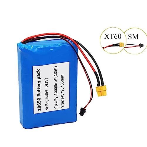 36V 10Ah Lithium Ebike Battery with Charger and BMS T977