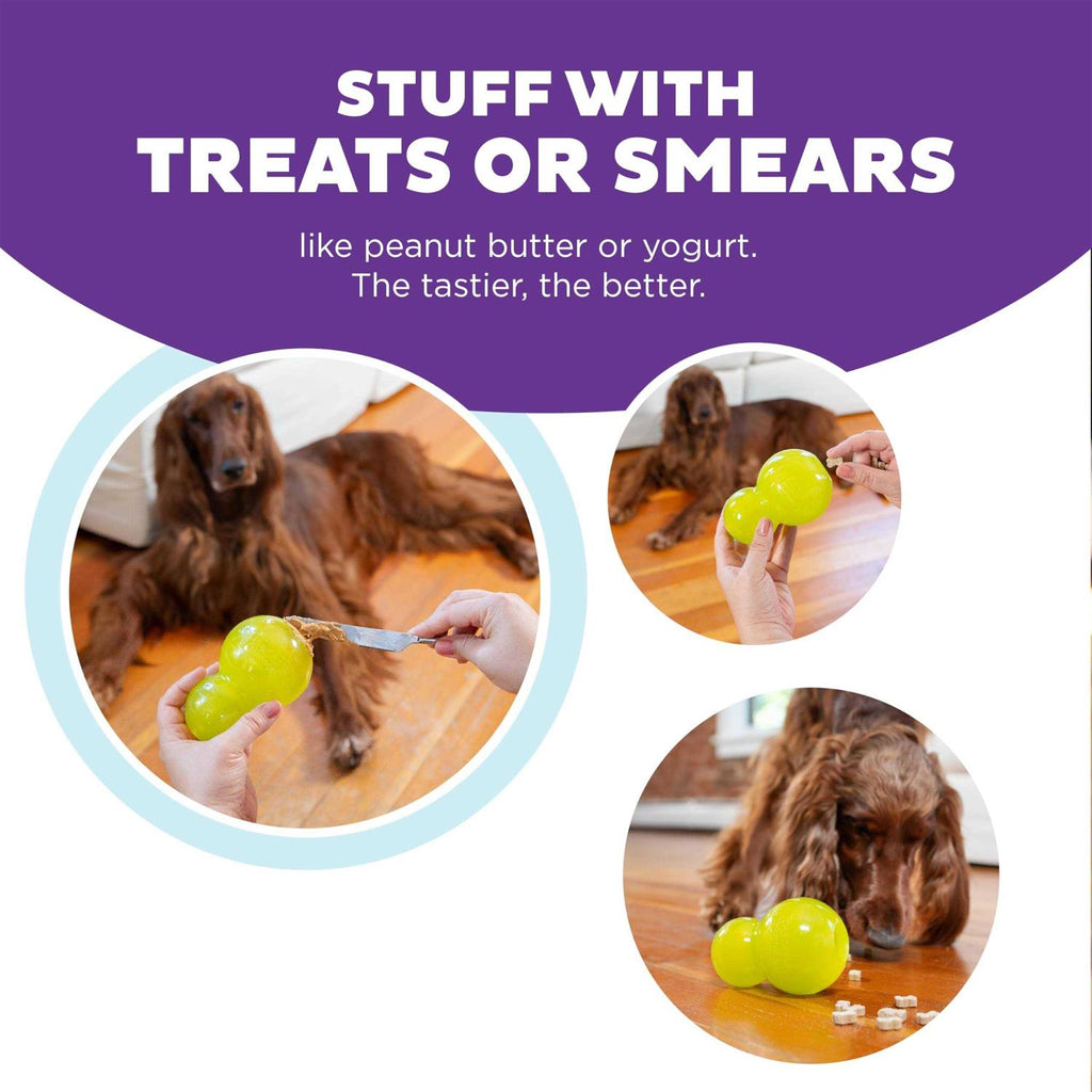 Green Dog Toy F417