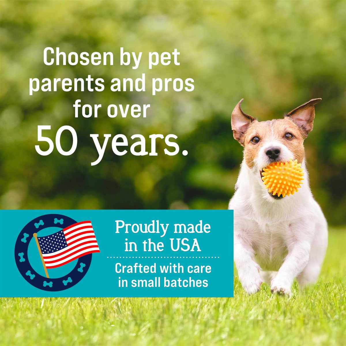 Freeze-Dried Chicken Liver Dog Treats W3267