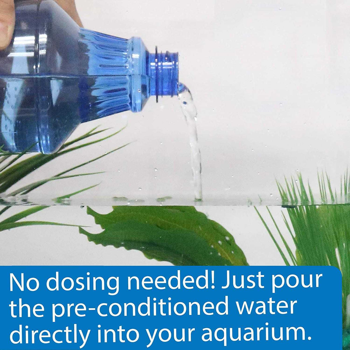 Betta Water B185471
