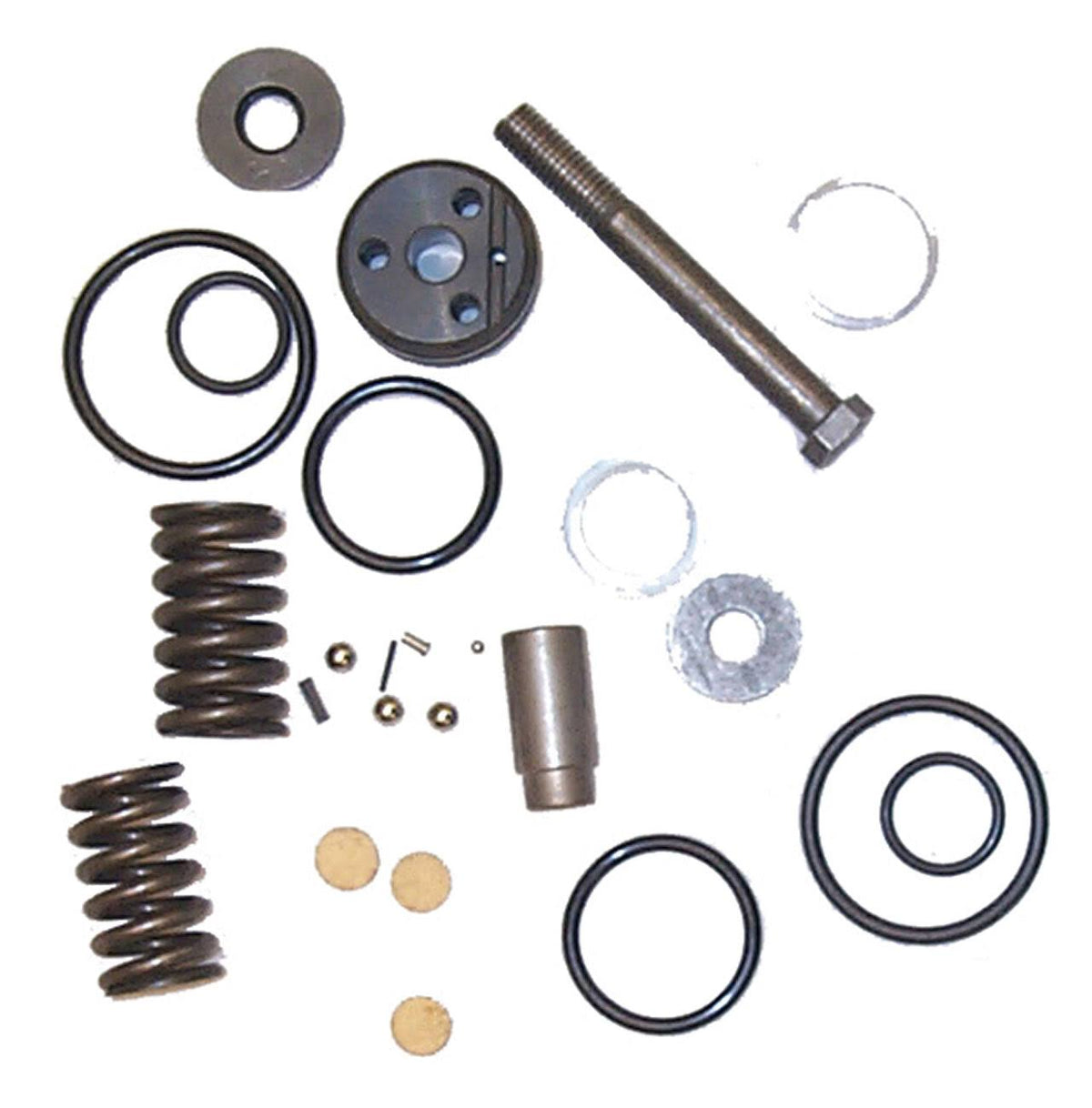 Trim Cylinder Repair Kit P144899