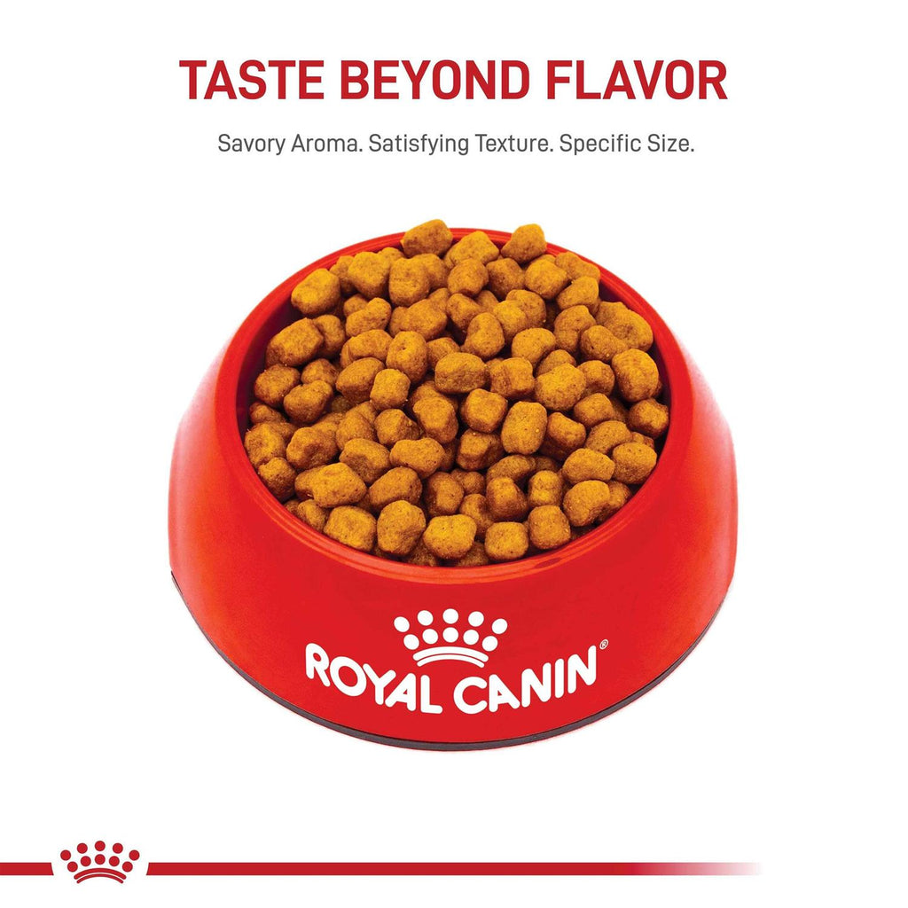 Adult Dry Dog Food H234620