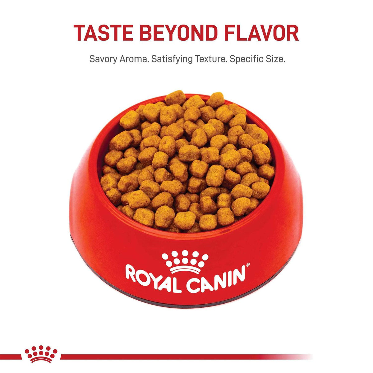 Adult Dry Dog Food H234620