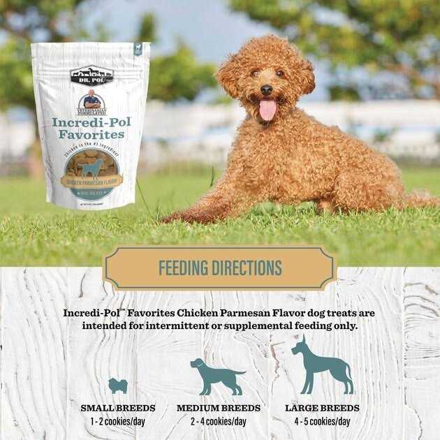 Crunchy Dog Treats K87255