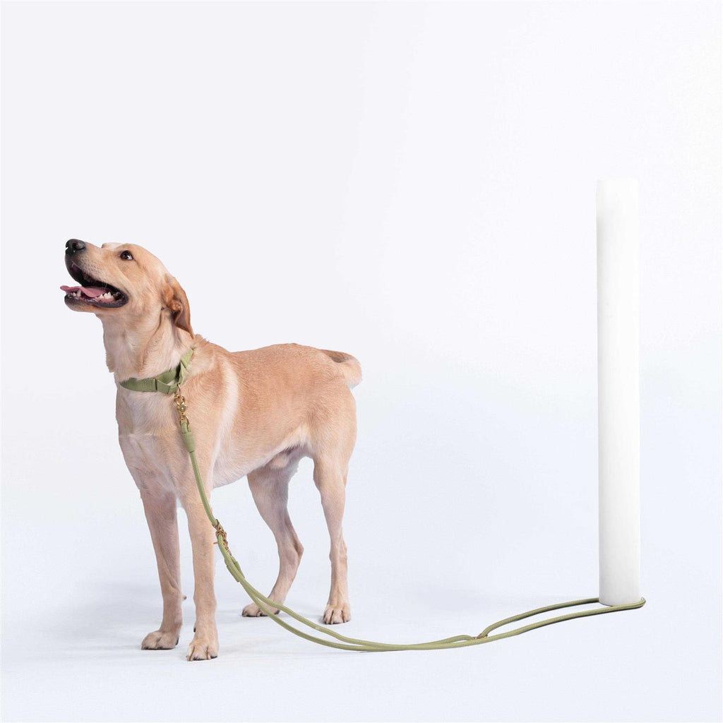 Pet Leash M967