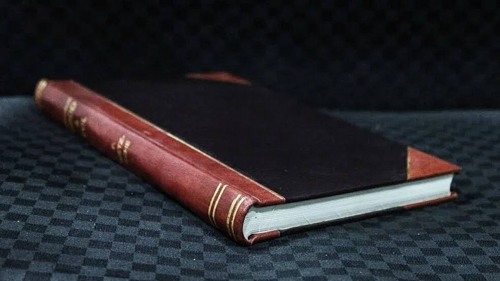 Leatherbound Volume 2 P238