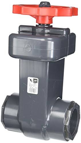 PVC Schedule 80 Gate Valves V554685