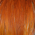 Brown Hackle Cape Q339612