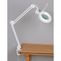 Magnifying Lamp E905884
