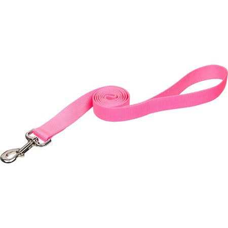 Exercise Saucer G6241